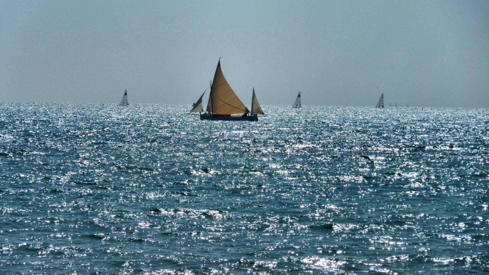 Boats looking for wind