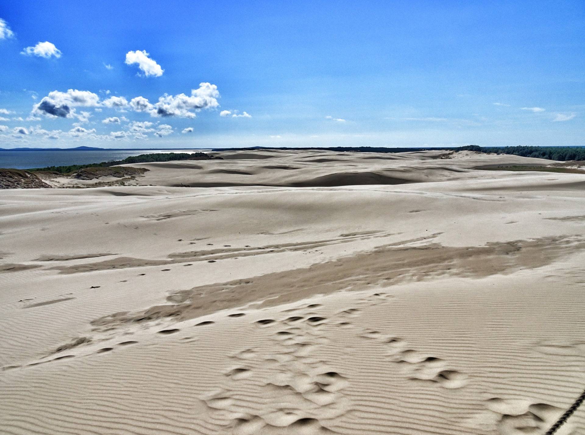 Snow-white sand piles: The magic dunes of Polands Sahara