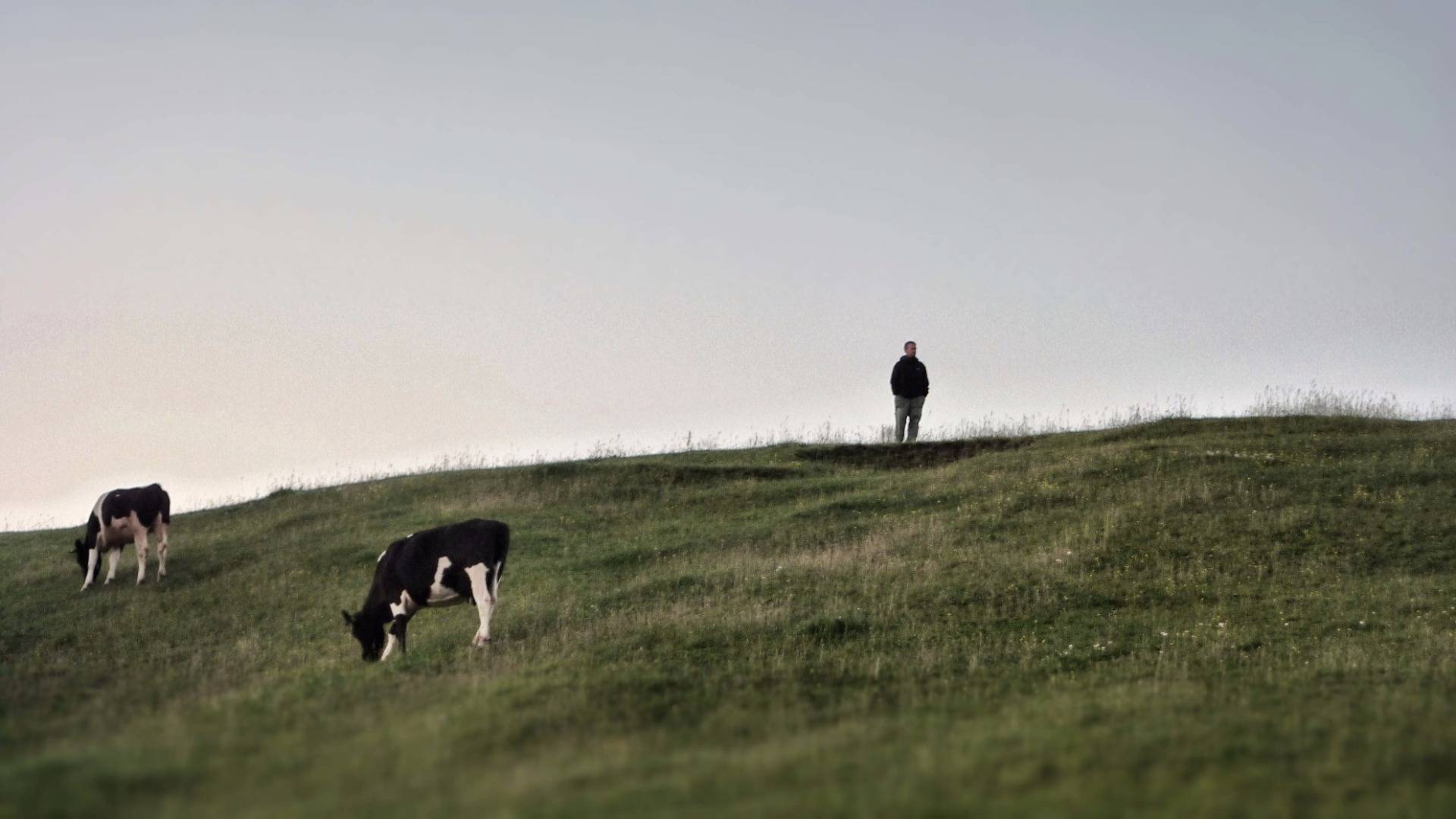 Me at a hill with cows