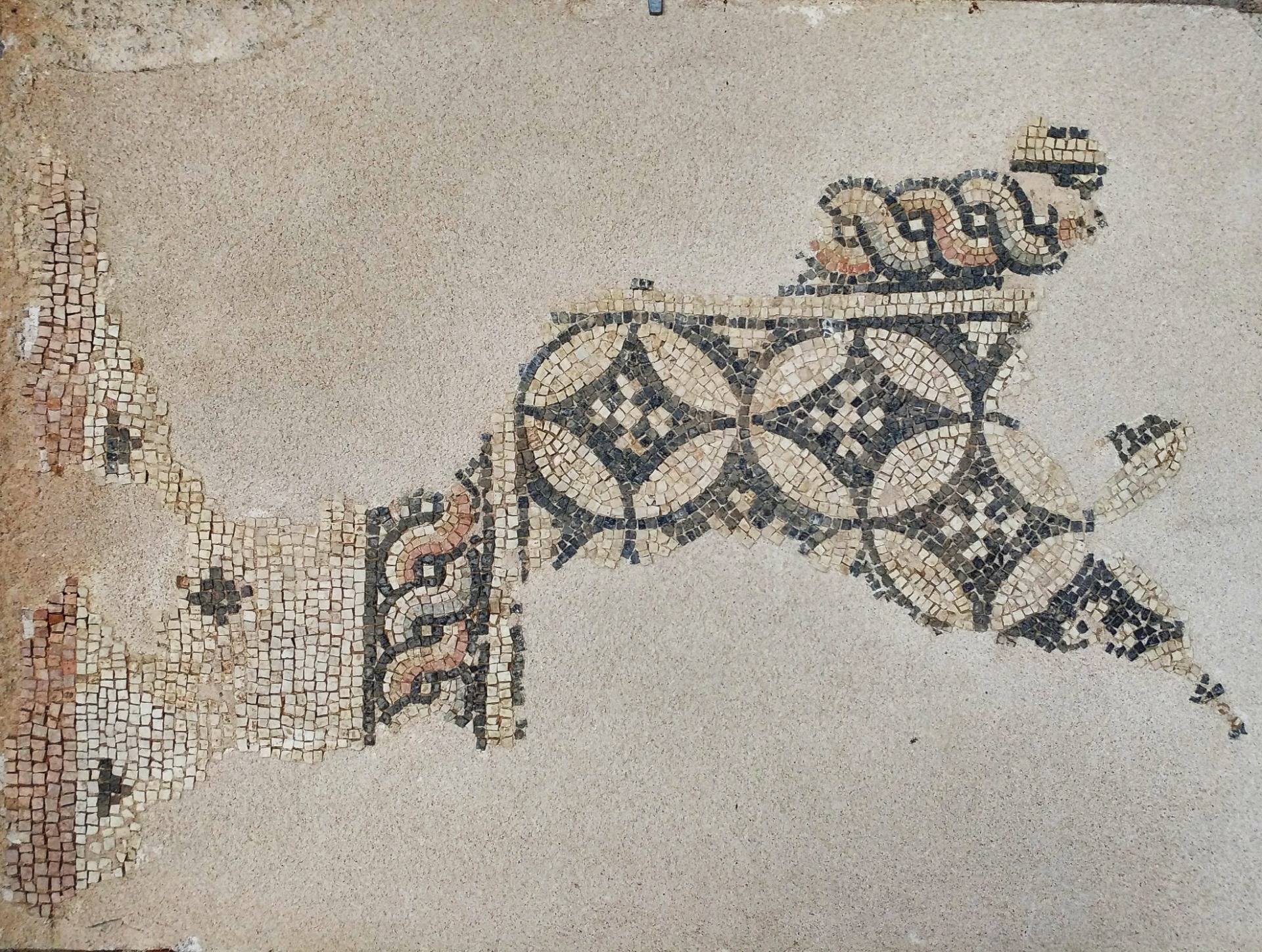 A mosaic from the roman age