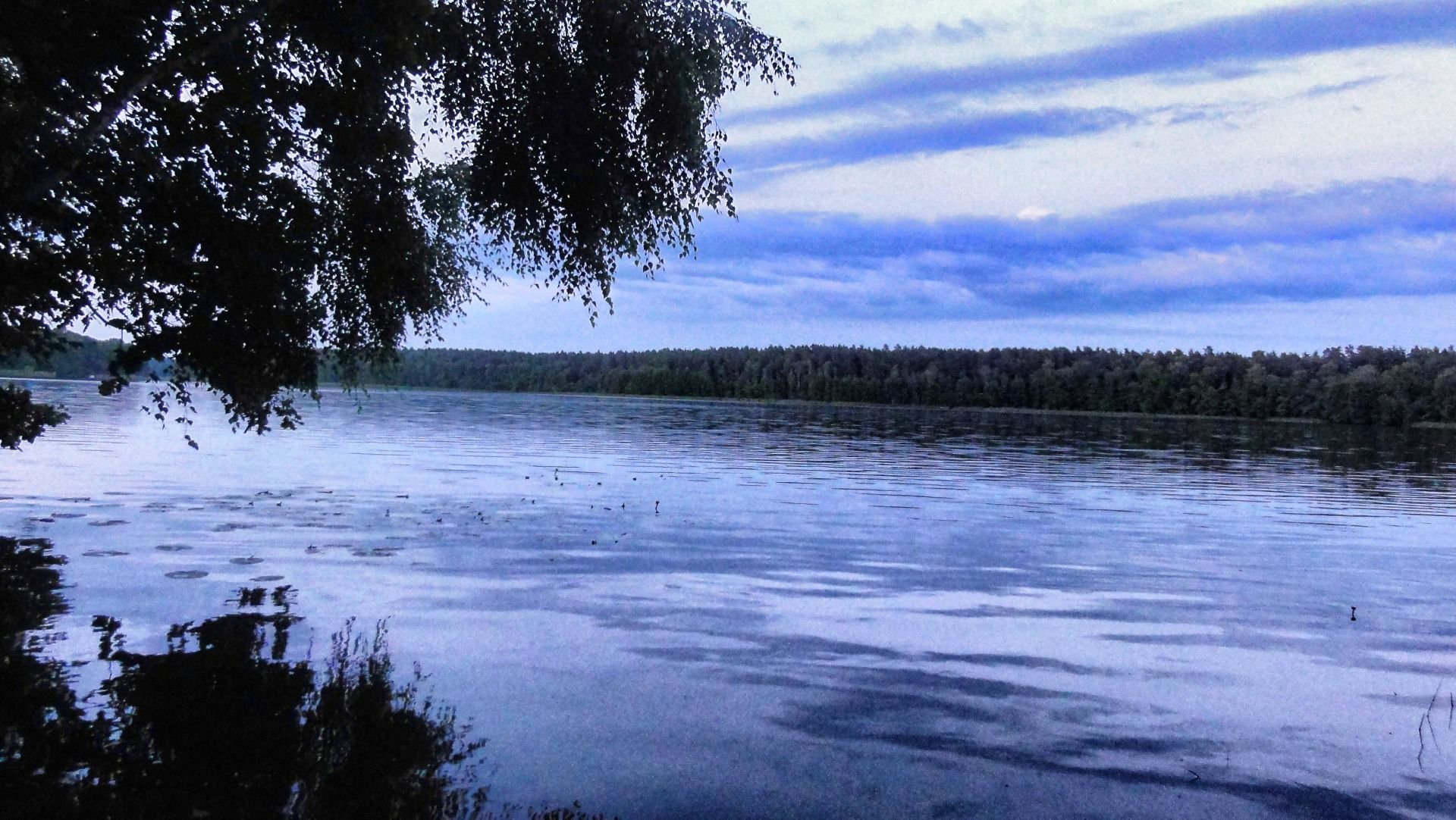 Rain at the evening