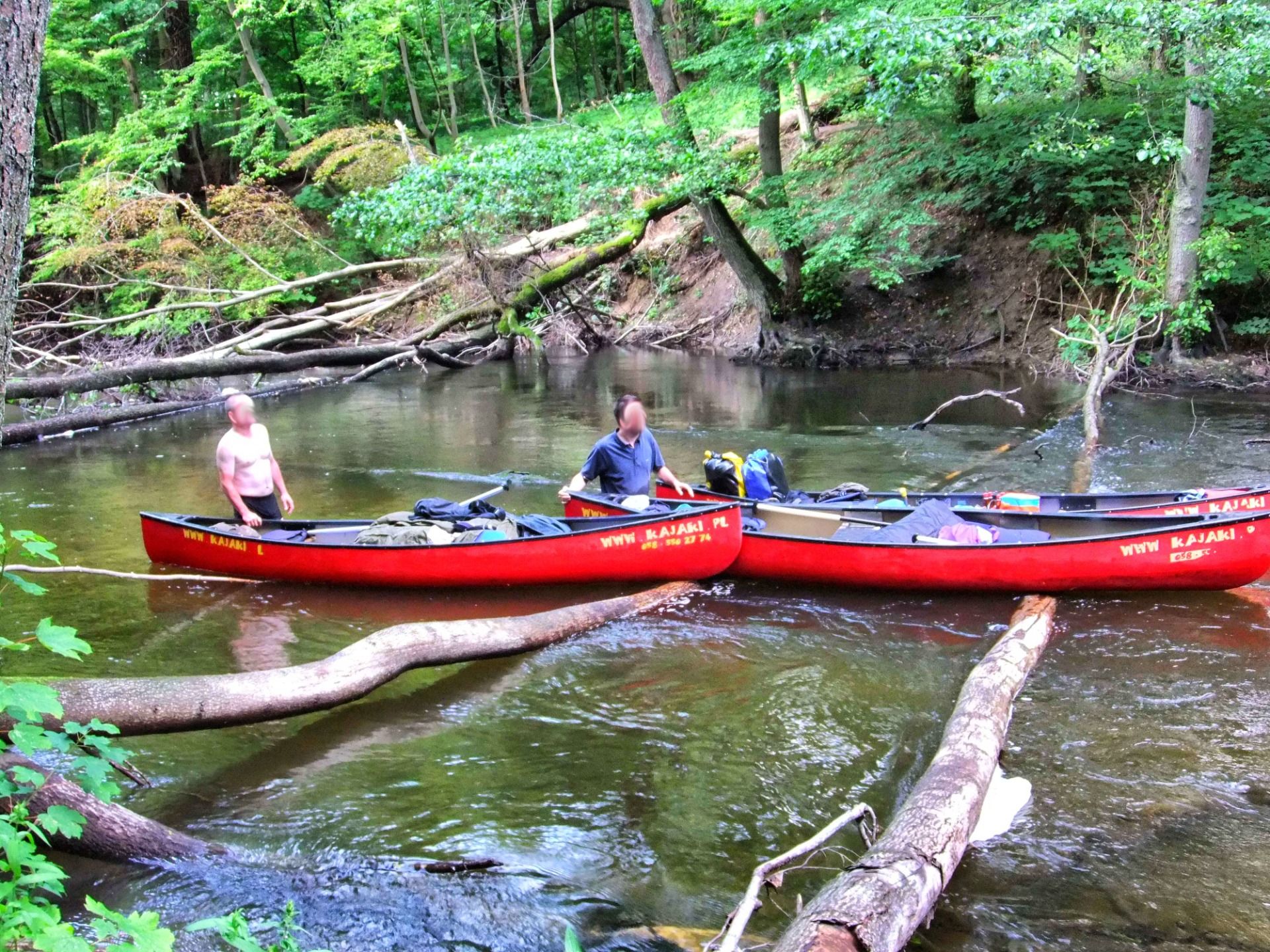 Paddling under water: Where only the strong survive
