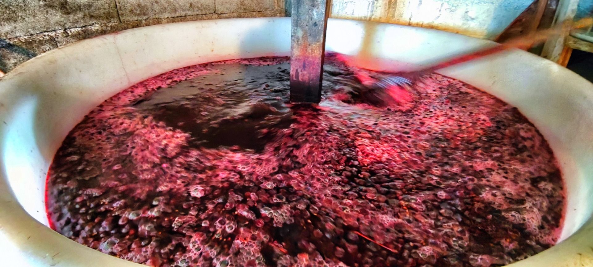 Antons wine