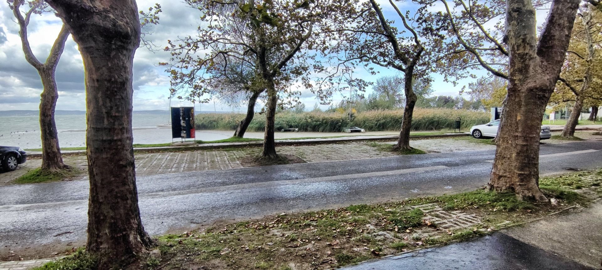 Do you need a parking lot first row? You’re welcome