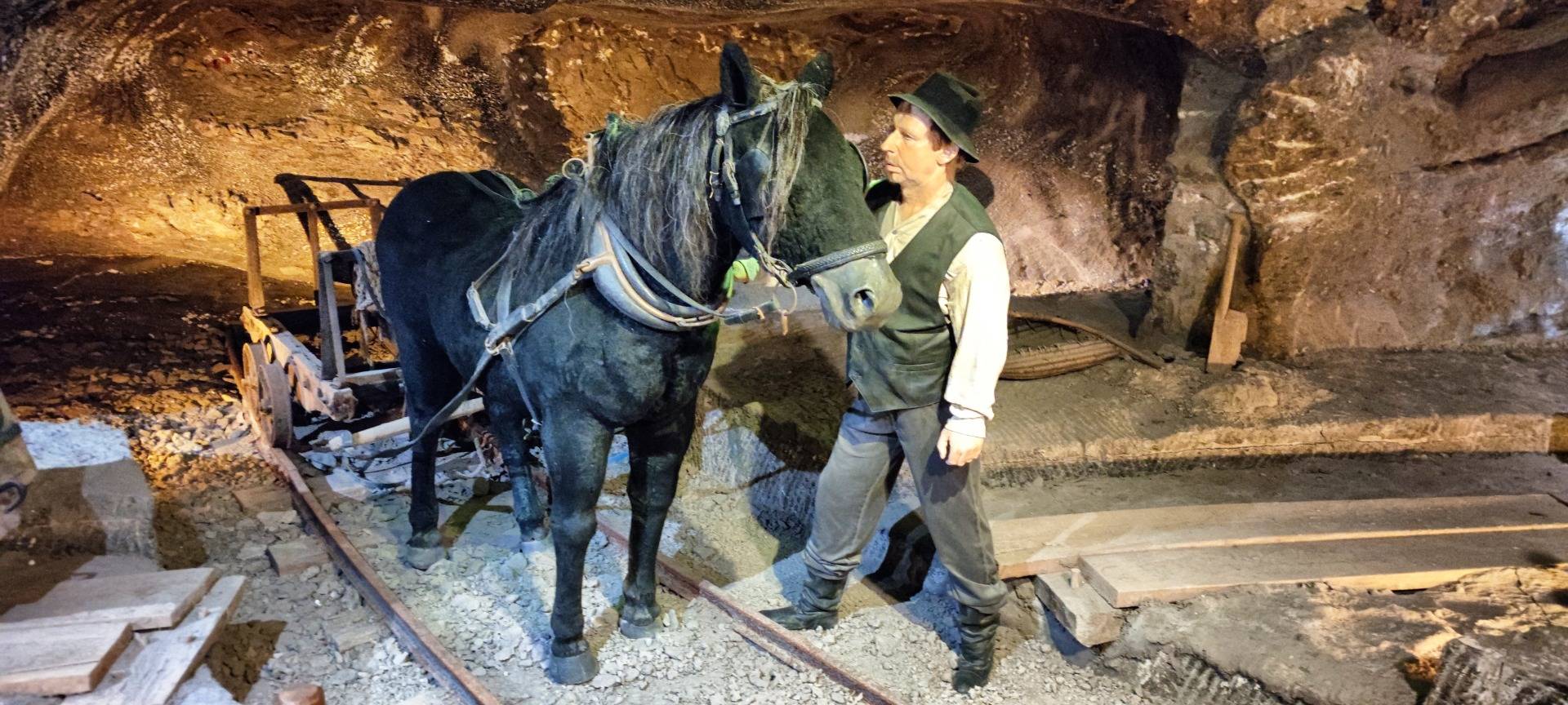 A miner with his horse