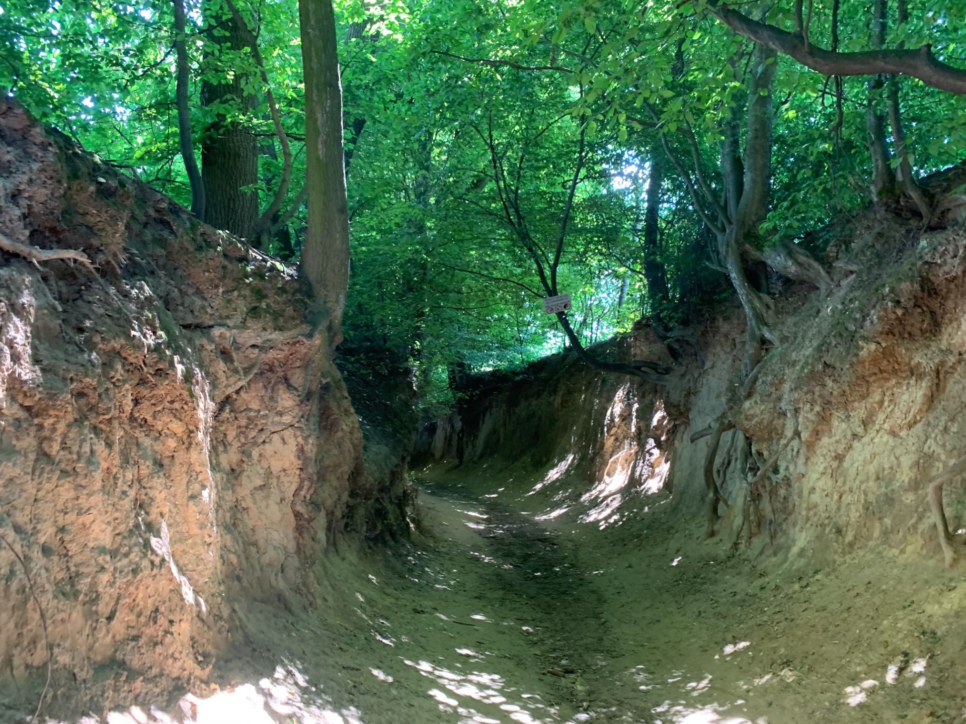 Wąwóz Korzeniowy Dół