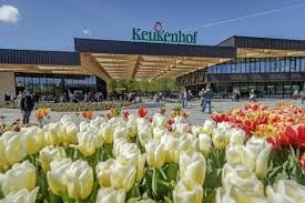 Keukenhof: A Spectacular Symphony of Tulips and Spring Magic