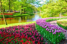 Themed Gardens