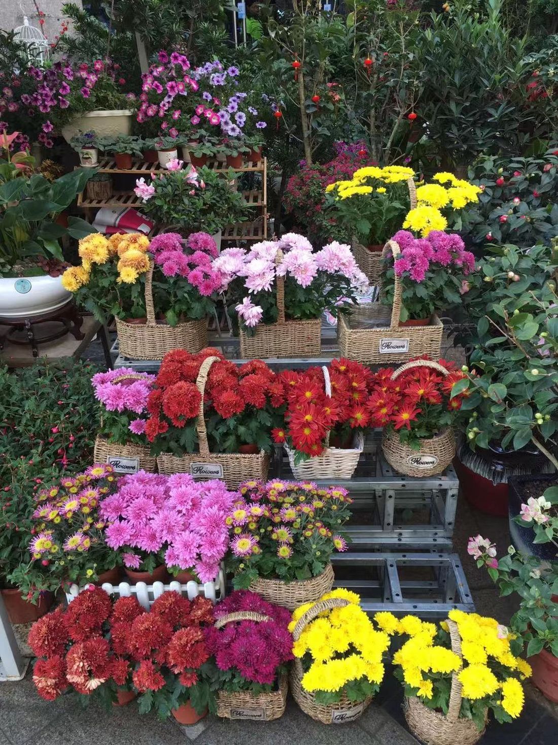 Flower shop next to the house, Huizhou, South China
