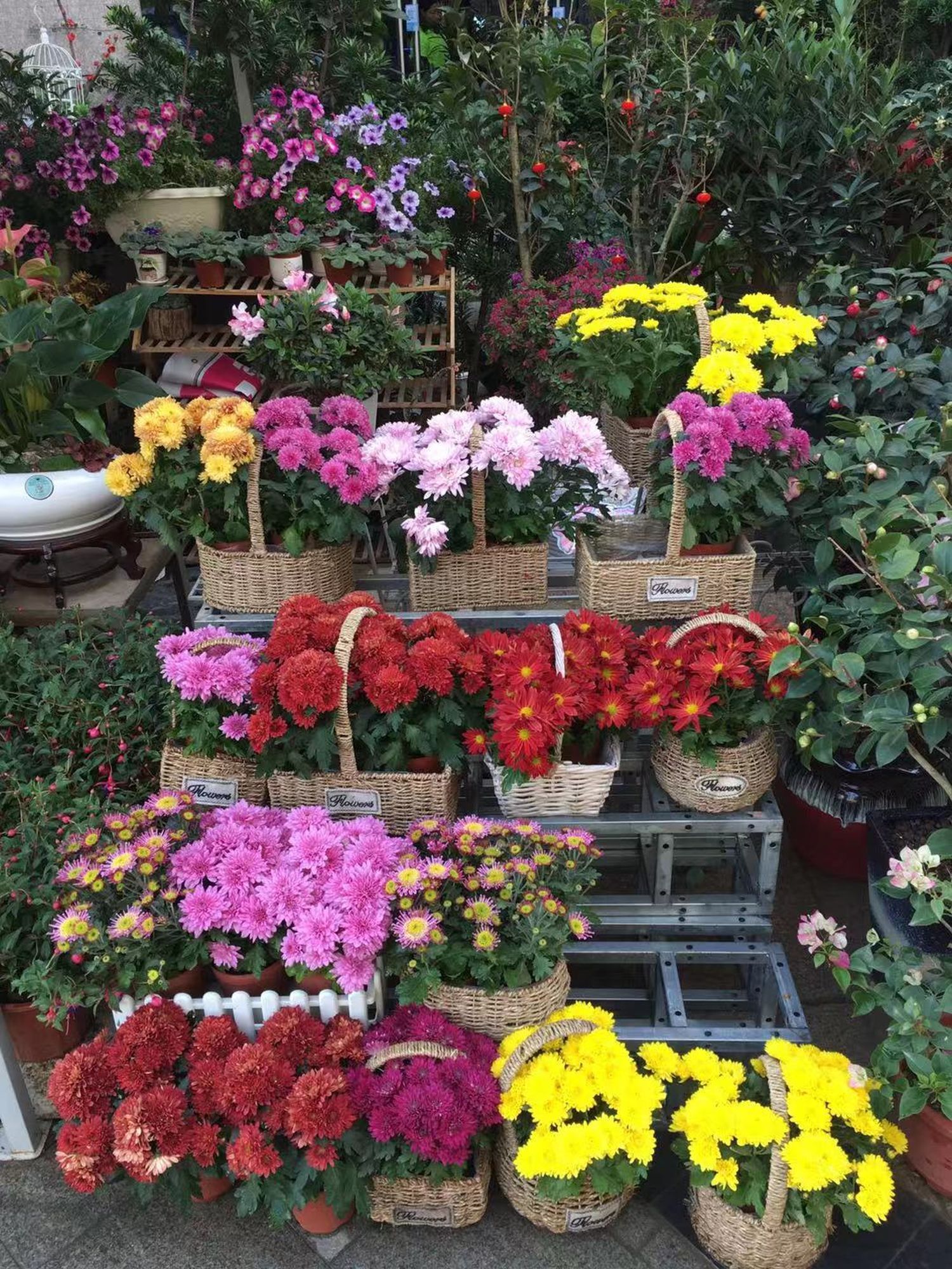 Flower shop next to the house, Huizhou, South China