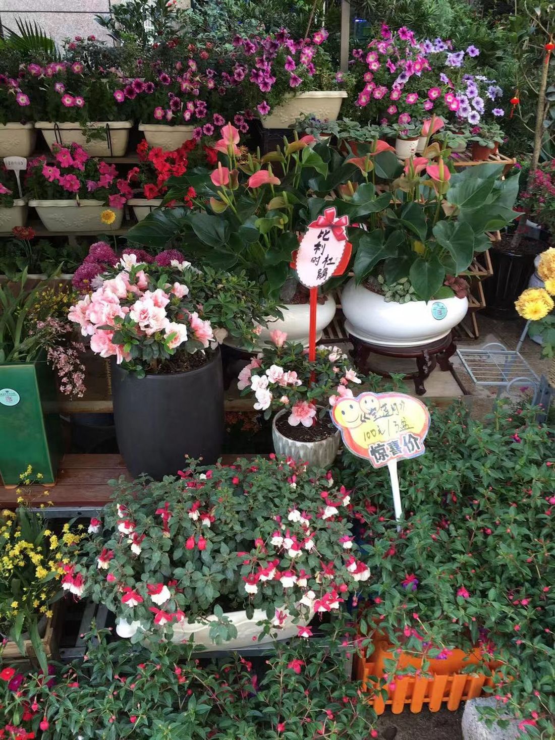 Flower shop next to the house, Huizhou, South China