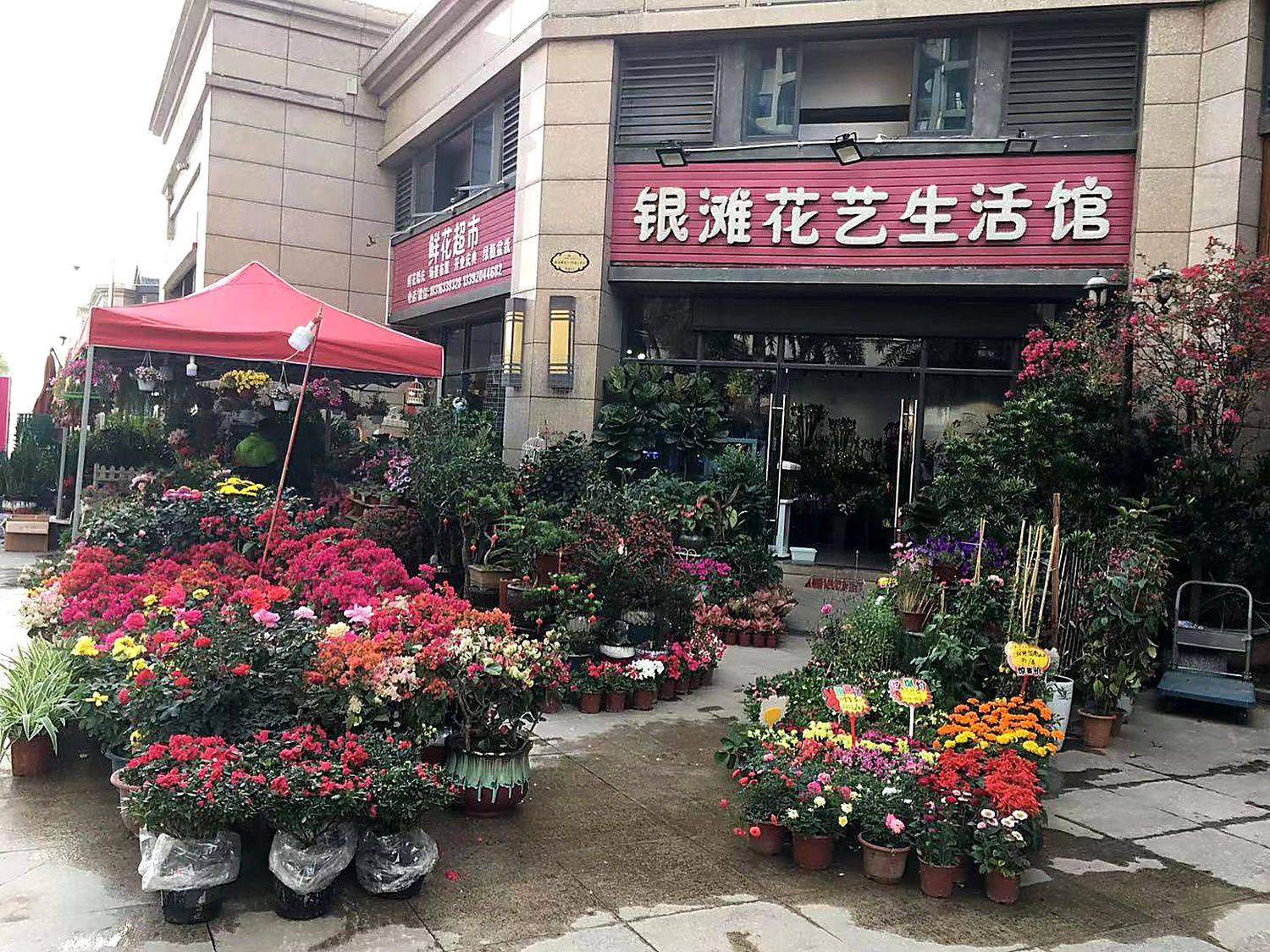 Flower shop next to the house, Huizhou, South China