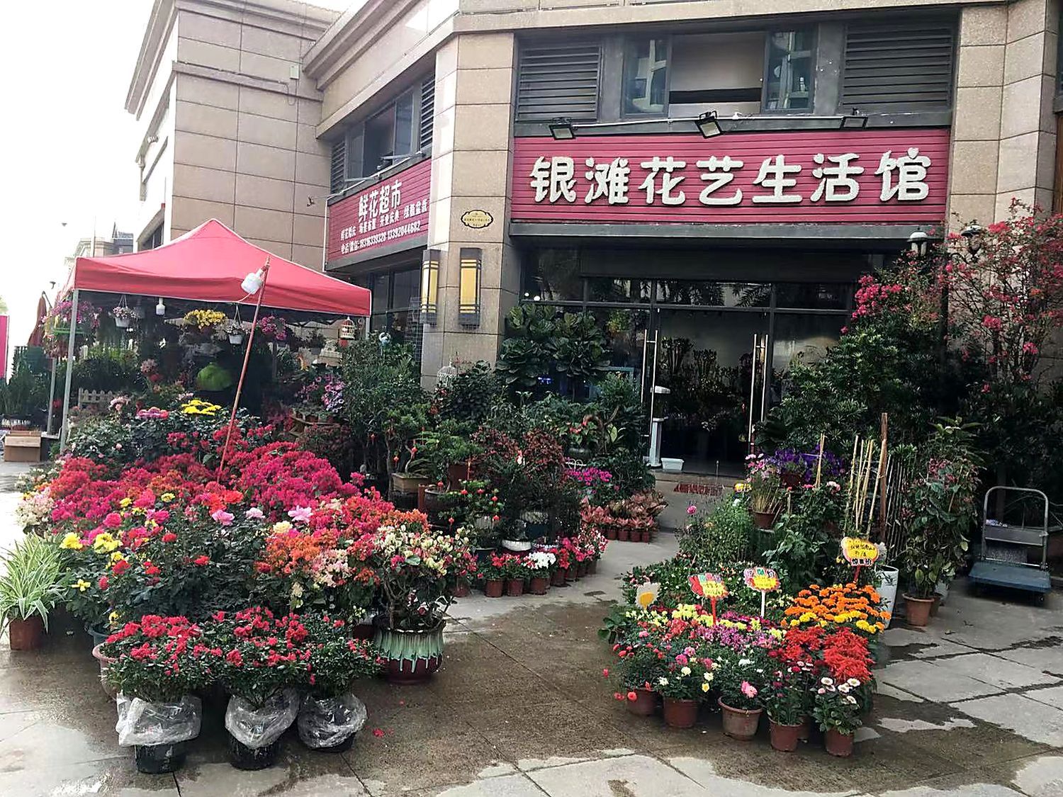 Flower shop next to the house, Huizhou, South China