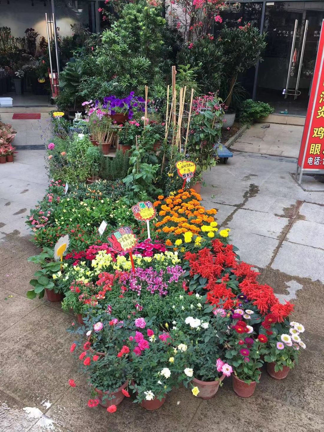Flower shop next to the house, Huizhou, South China