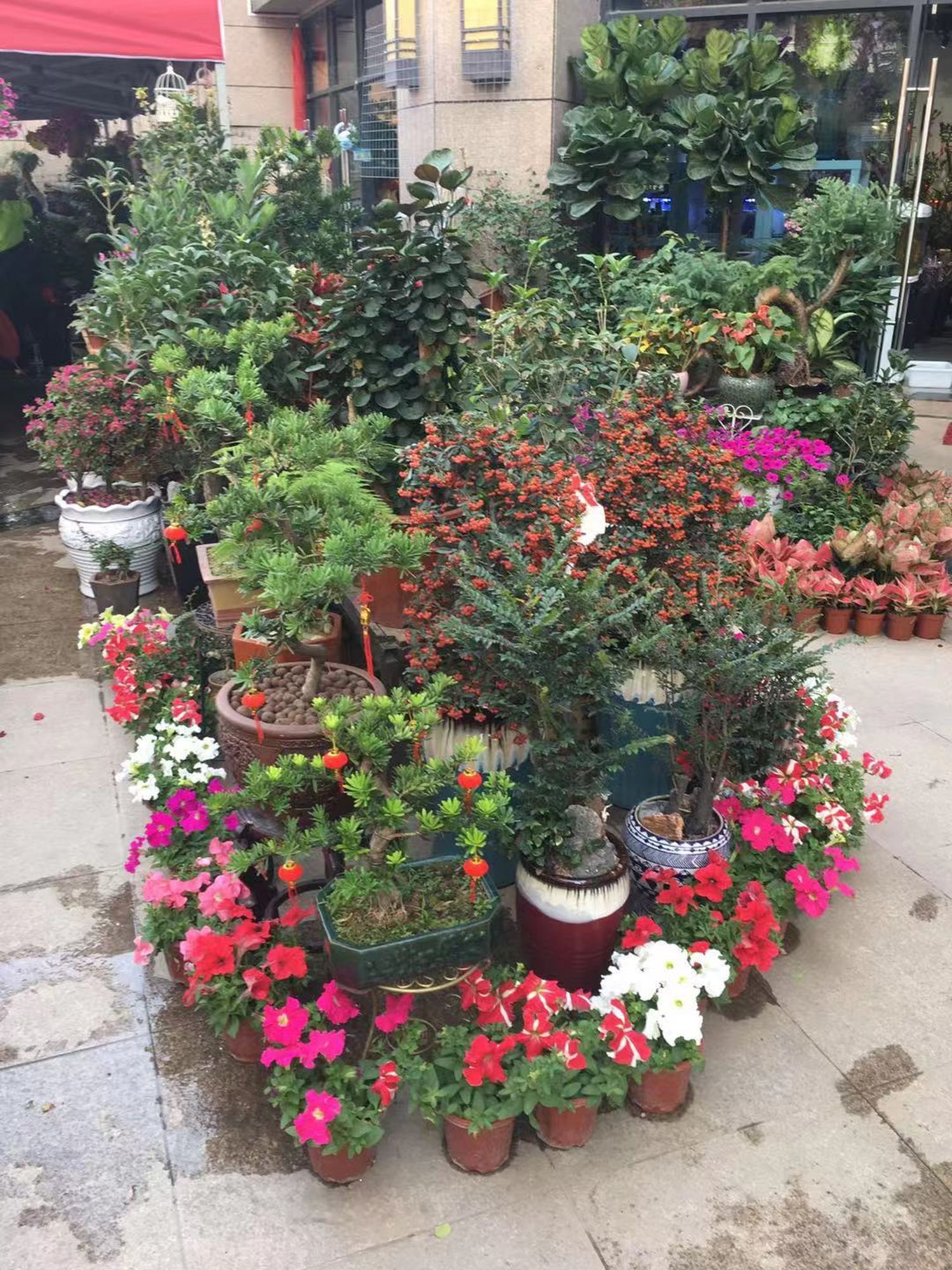 Flower shop next to the house, Huizhou, South China