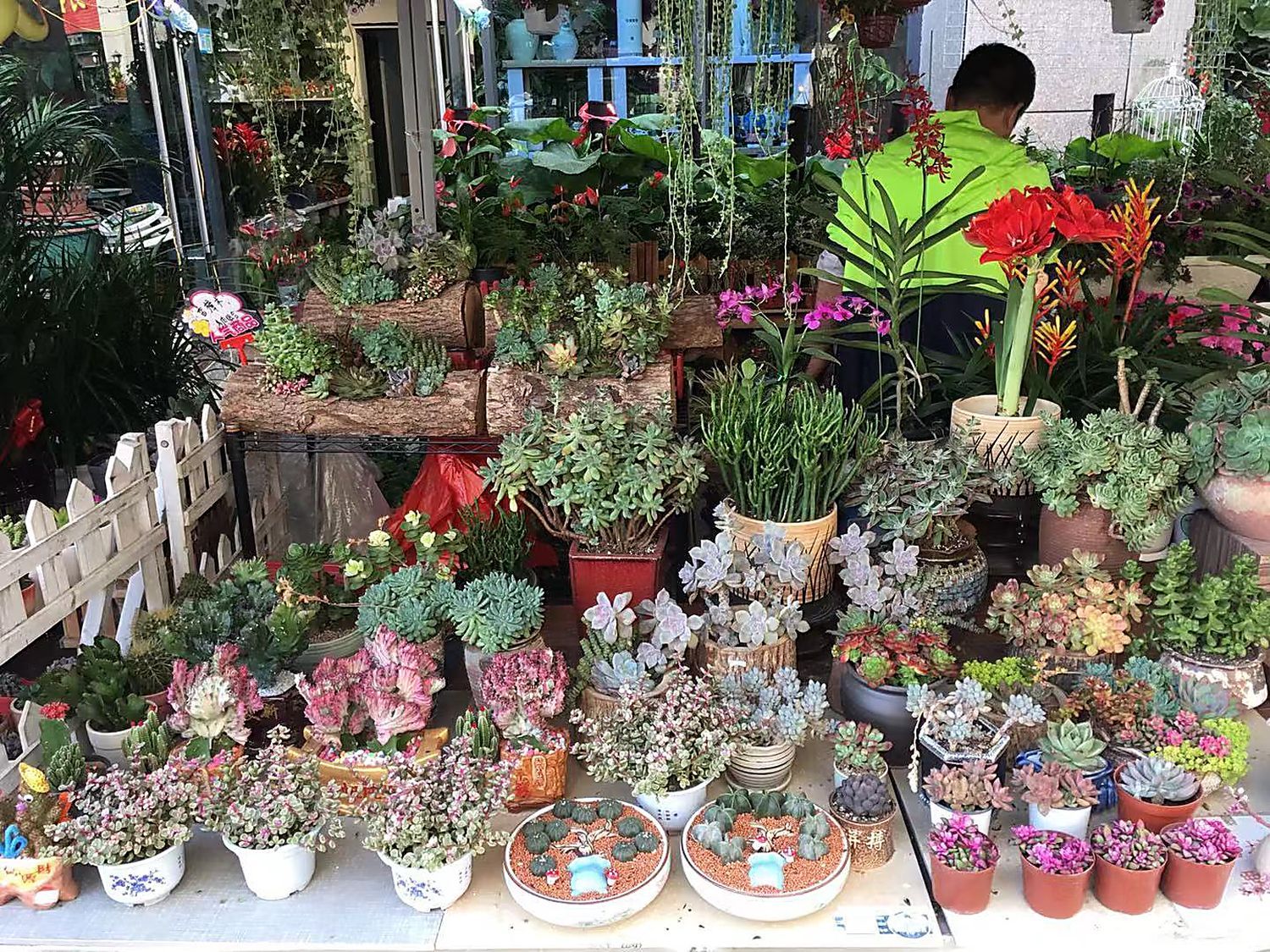 Flower shop next to the house, Huizhou, South China