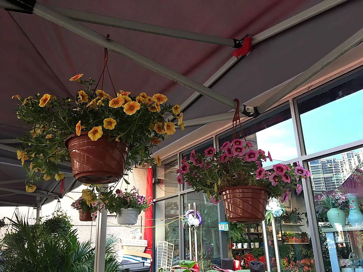 Flower shop next to the house, Huizhou, South China