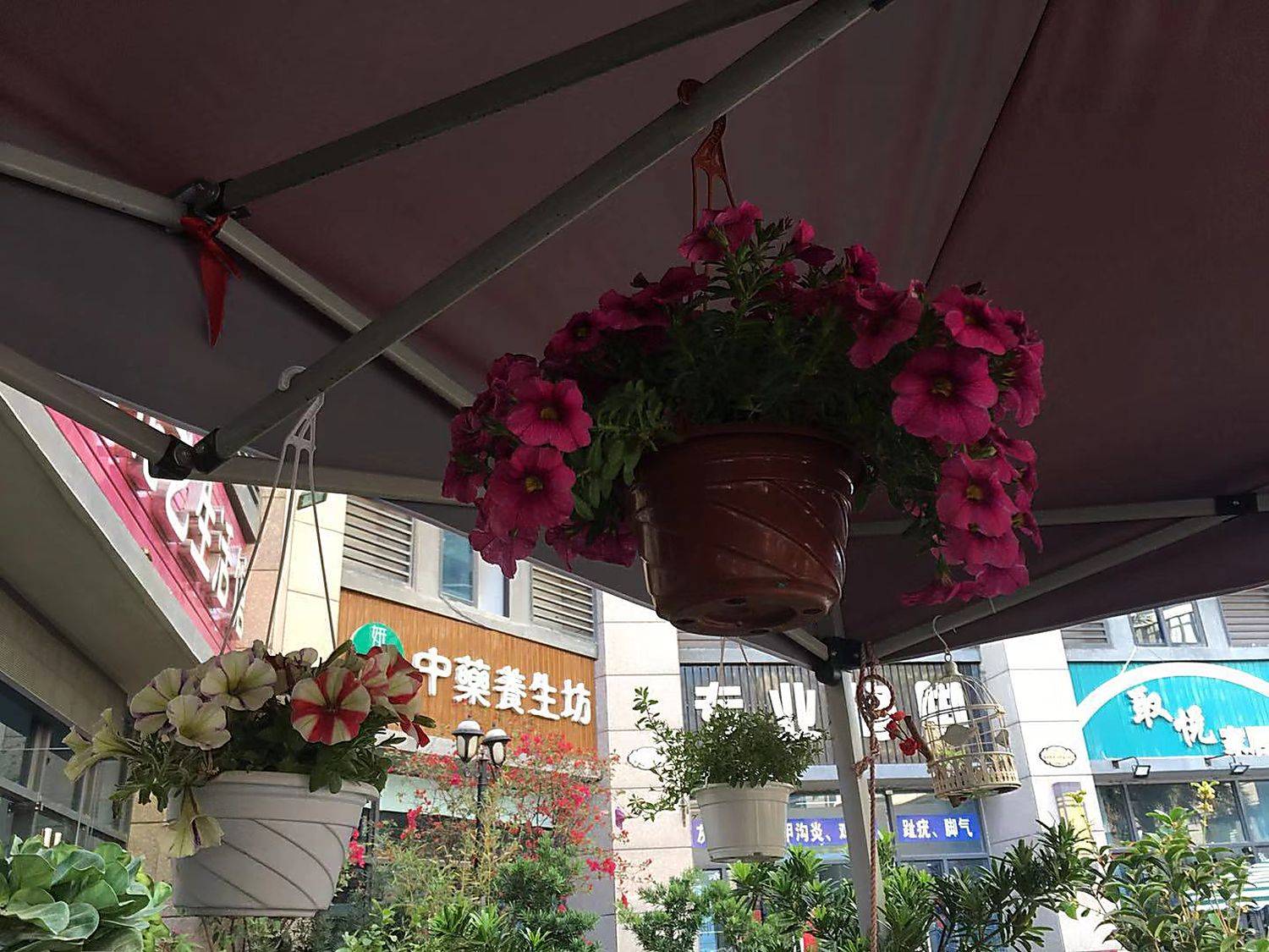 Flower shop next to the house, Huizhou, South China