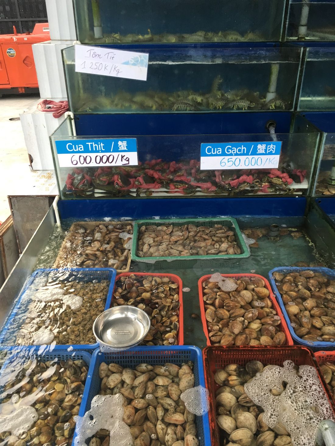 Fish restaurants in Da Nang