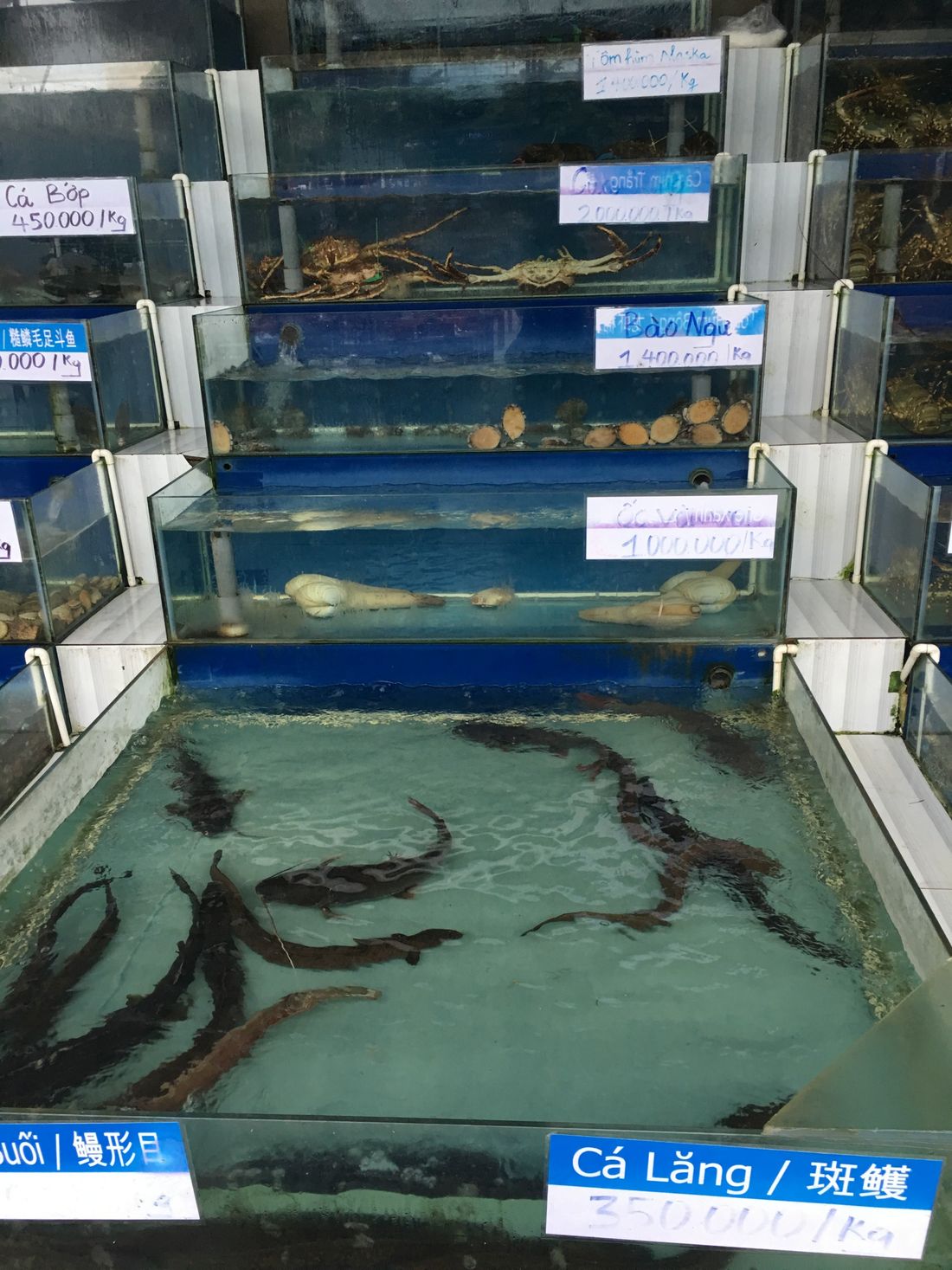 Fish restaurants in Da Nang