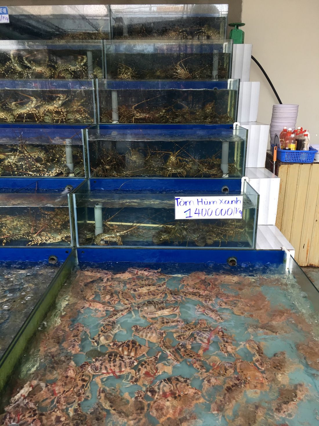 Fish restaurants in Da Nang