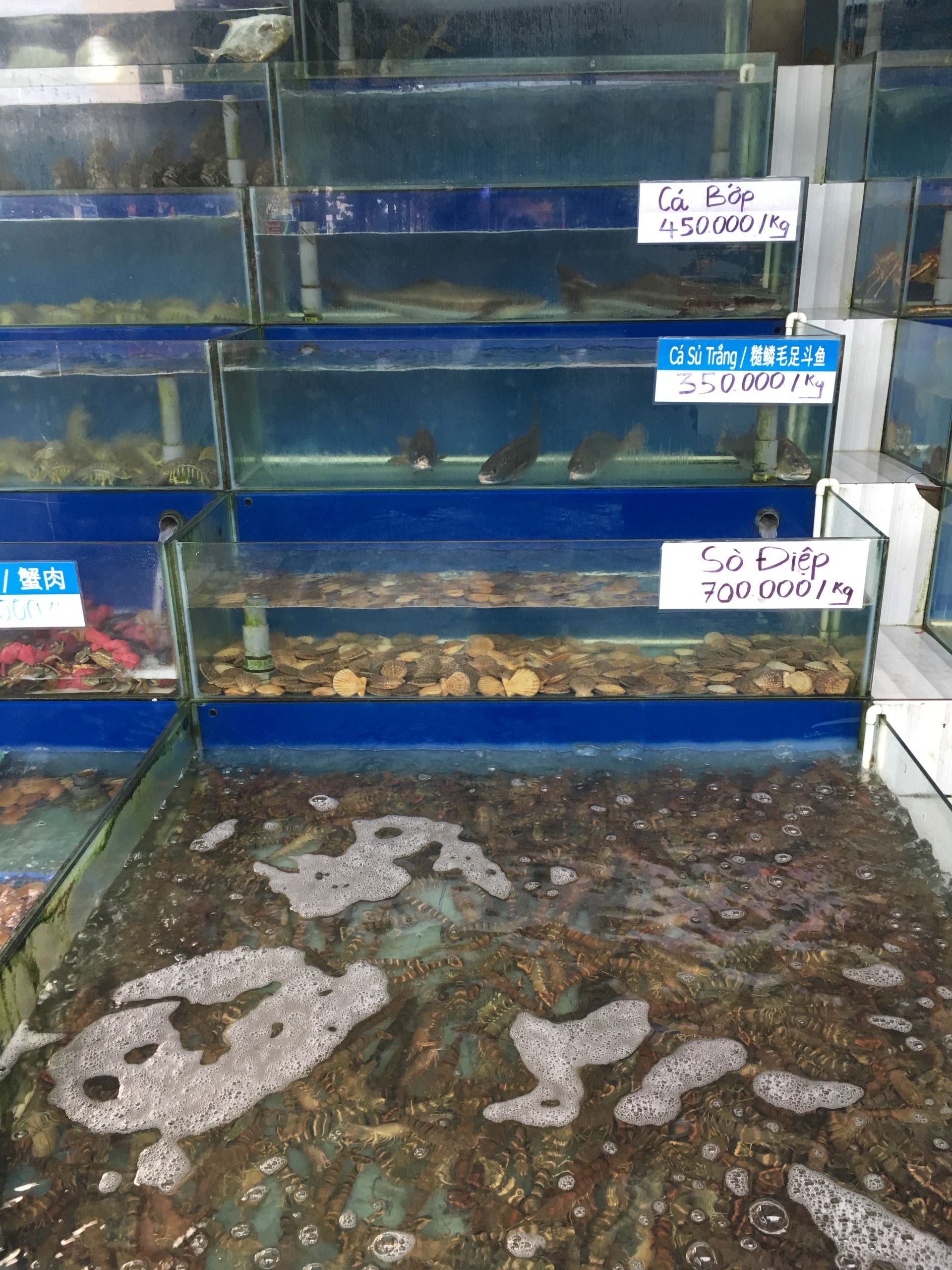 Fish restaurants in Da Nang.