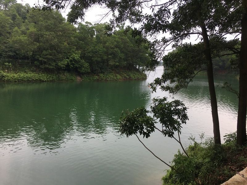 Red flower lake. Part 2.