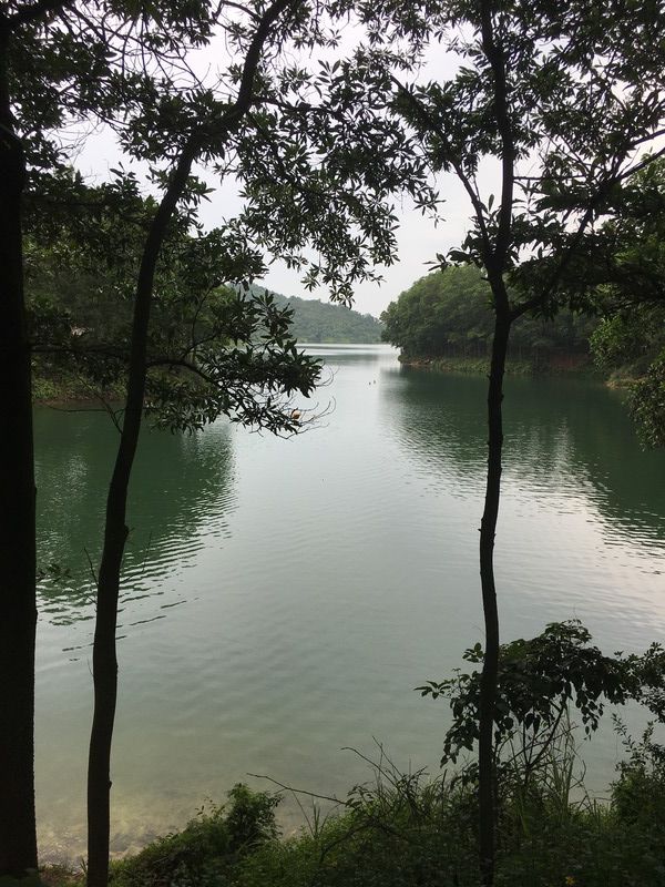 Red flower lake, Huizhou city, Guangdong province, China.