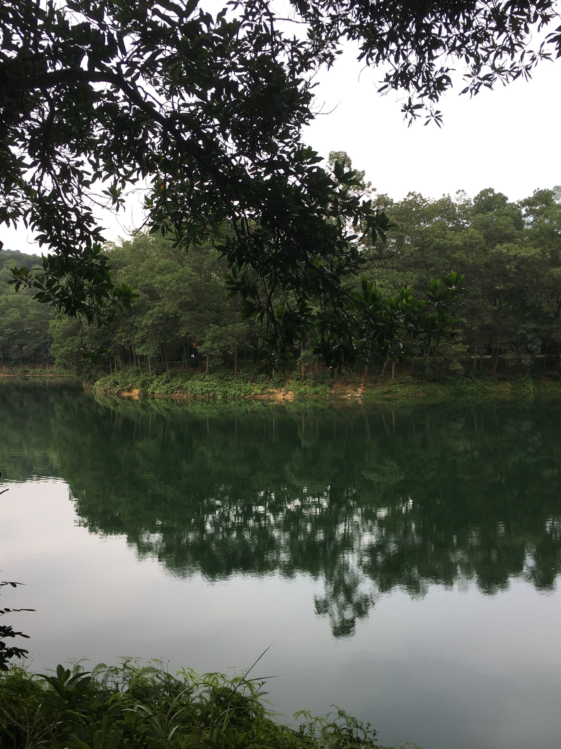 Red flower lake. Part 3.