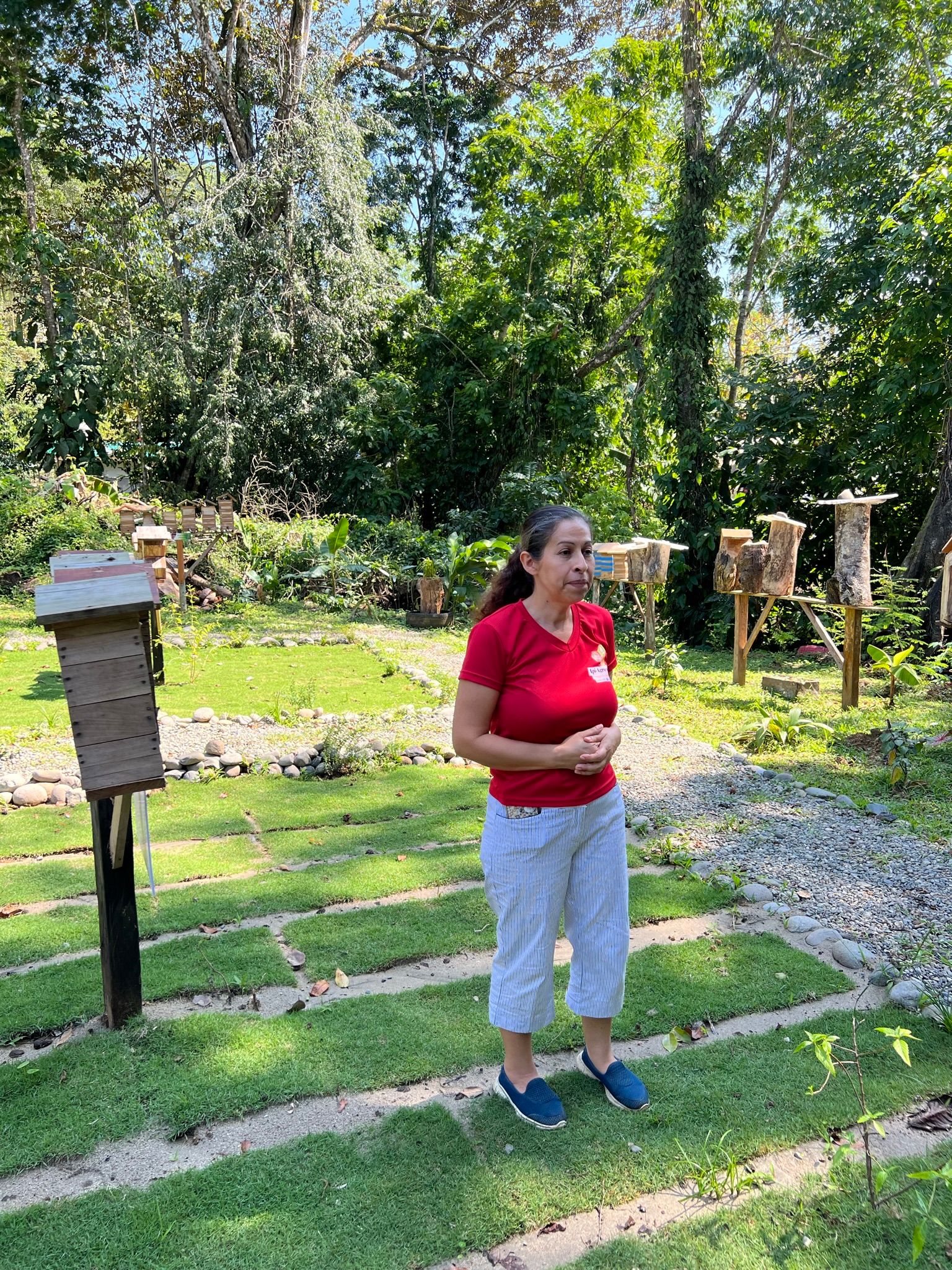 Excursion to the apiary with bees without stingers in Costa Rica. Cruise in the Southern Caribbean.