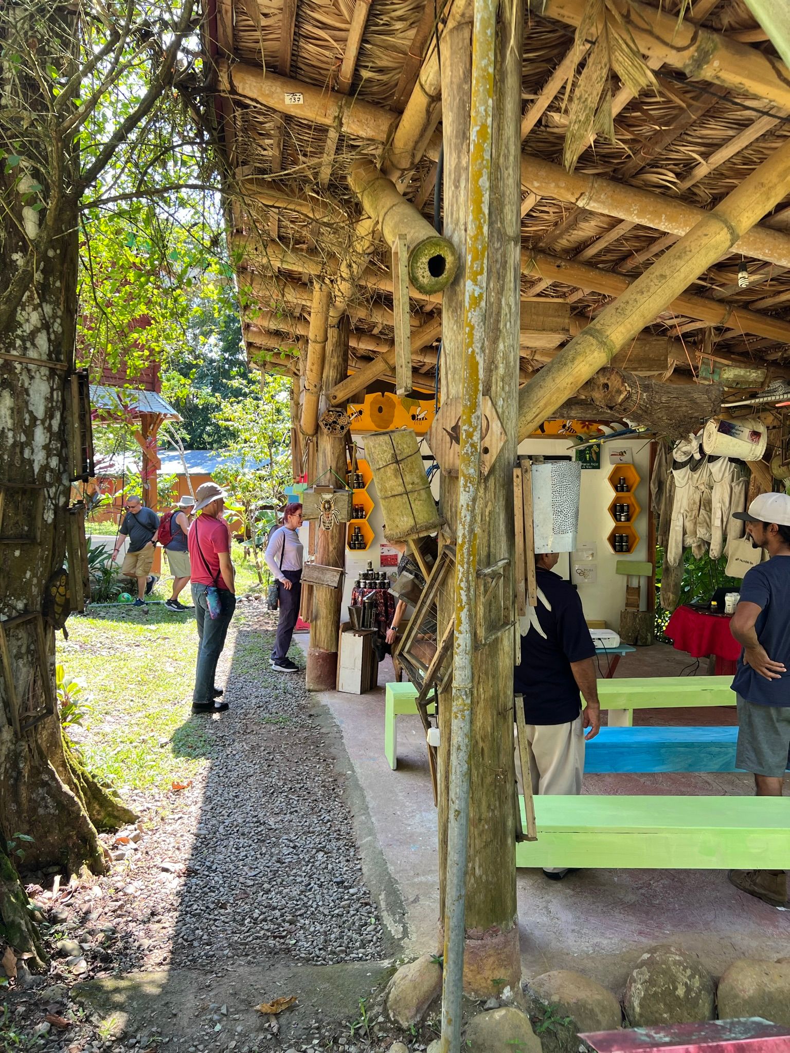 Excursion to the apiary with bees without stingers in Costa Rica. Cruise in the Southern Caribbean.