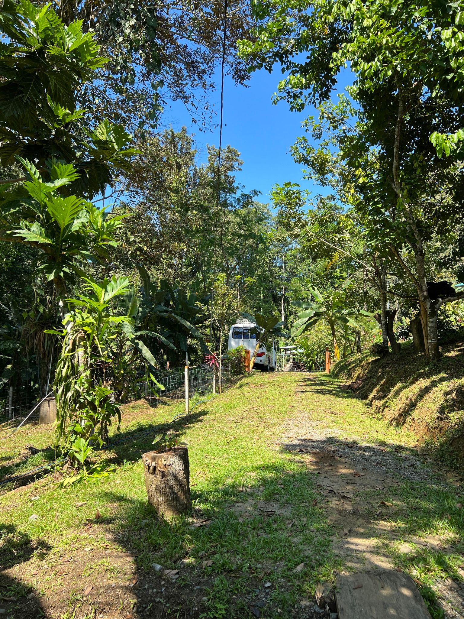 Excursion to the apiary with bees without stingers in Costa Rica. Cruise in the Southern Caribbean.