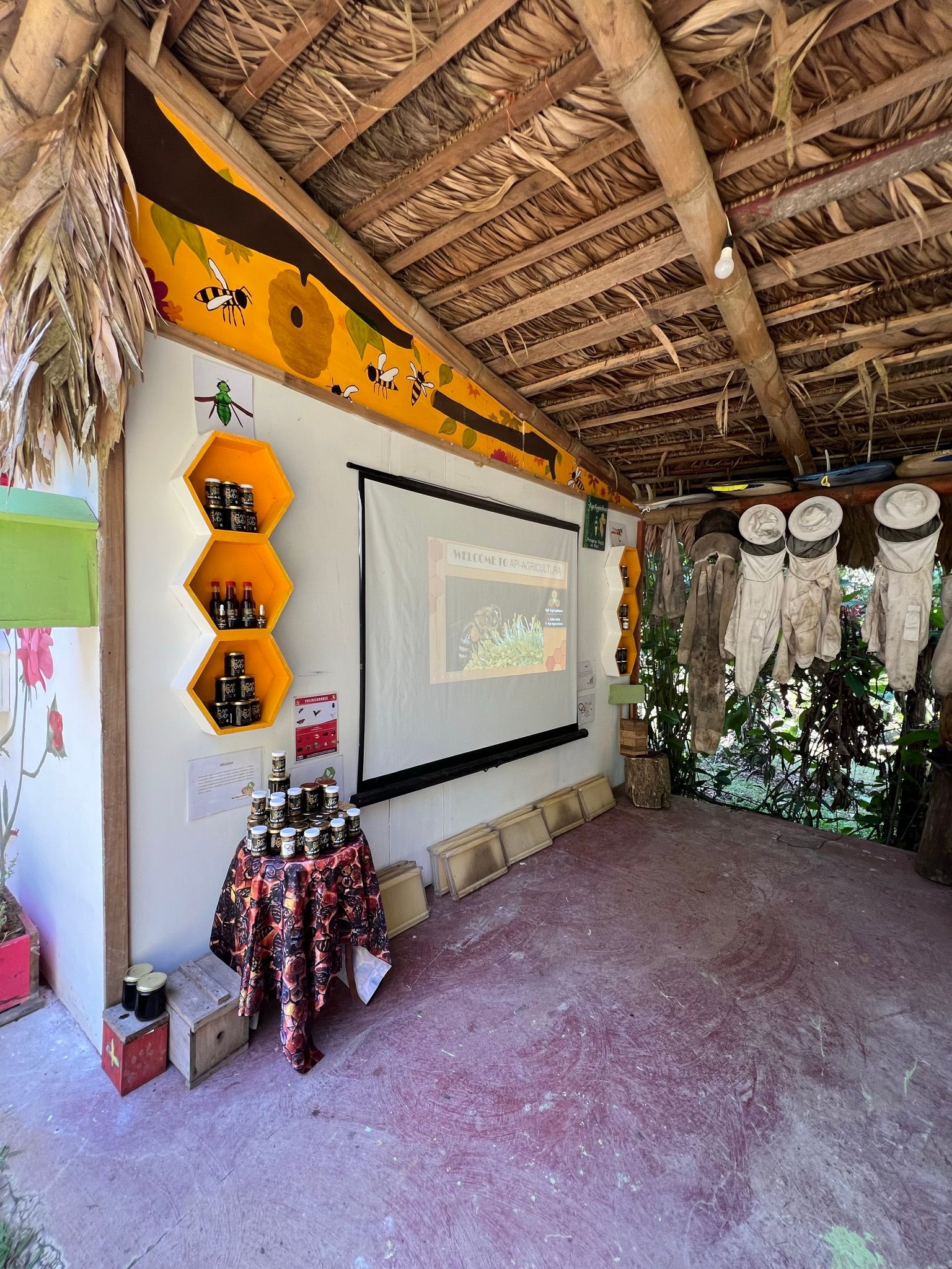 Excursion to the apiary with bees without stingers in Costa Rica. Cruise in the Southern Caribbean.