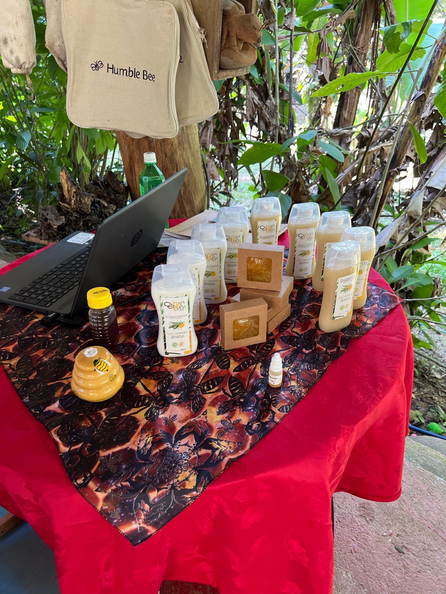 Excursion to the apiary with bees without stingers in Costa Rica. Cruise in the Southern Caribbean.