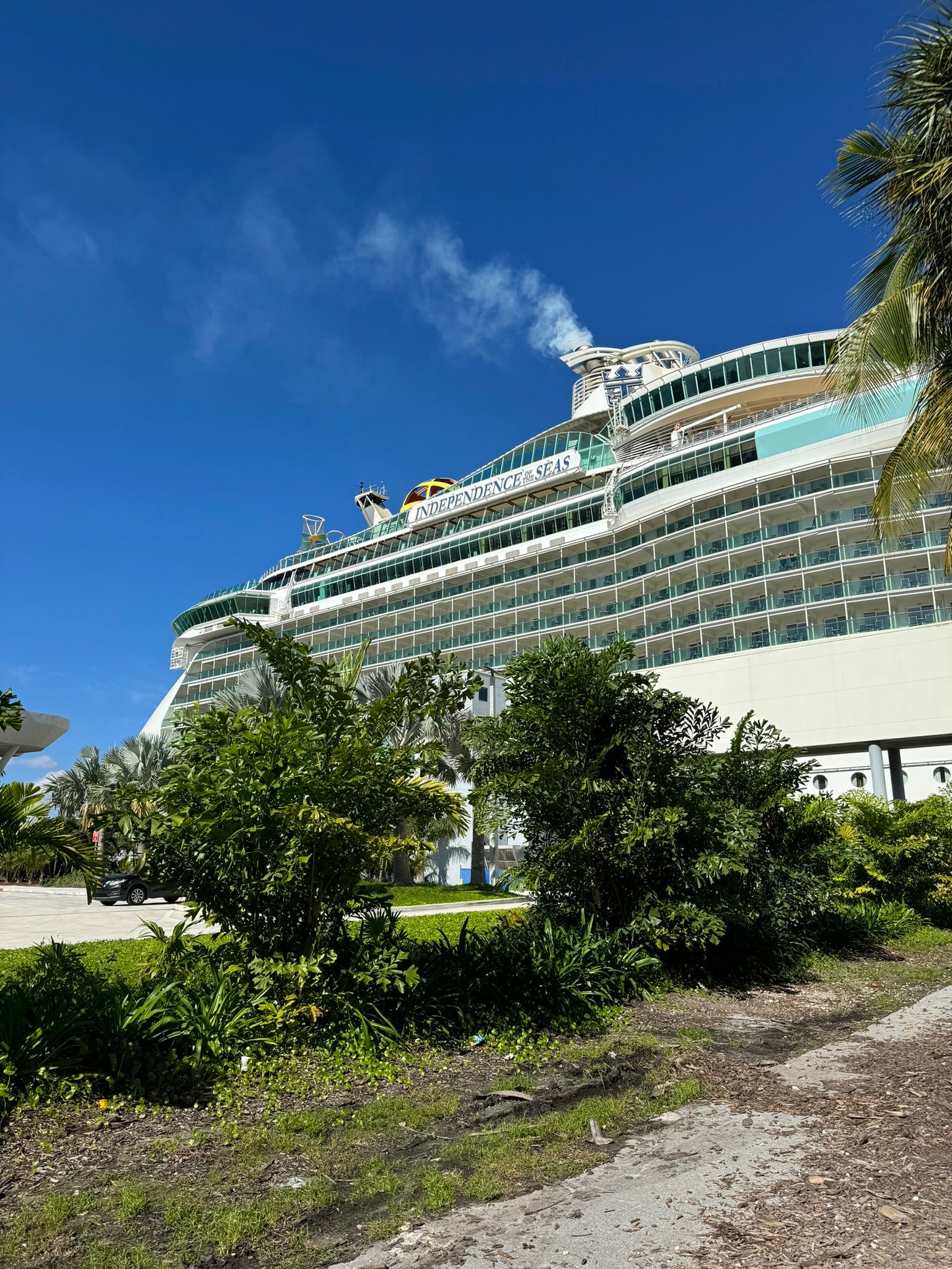 America - Weekly Round-Up #307