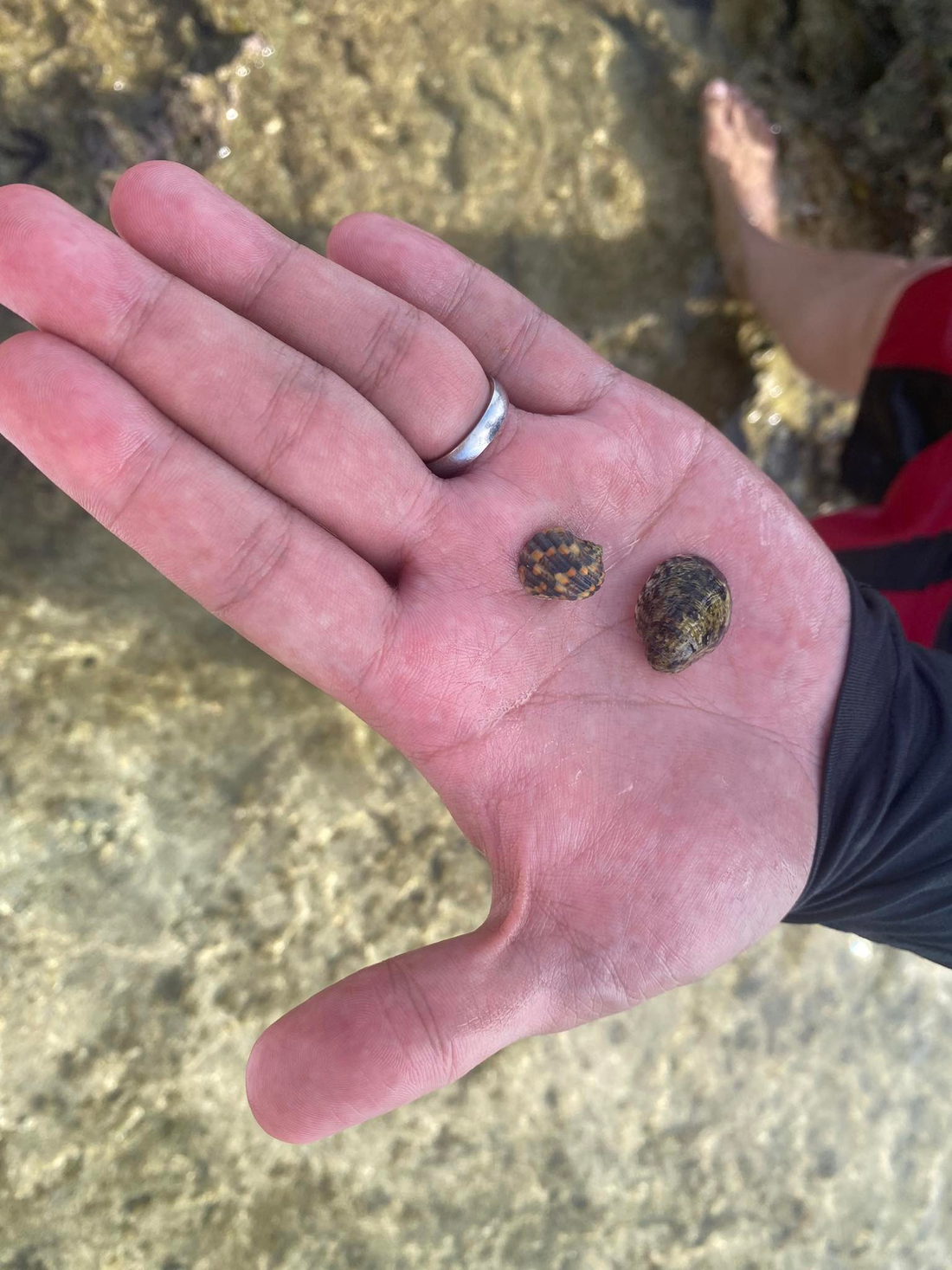 Credits to my friend who took this photo