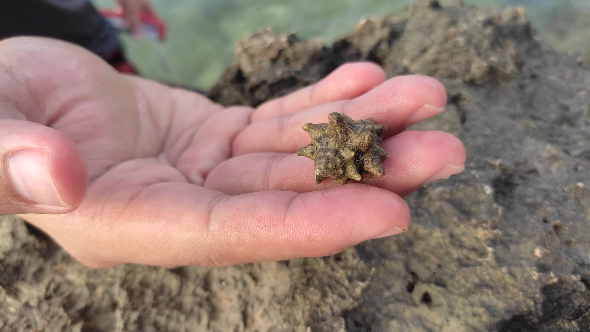 Credits to @bloghound who took this photo