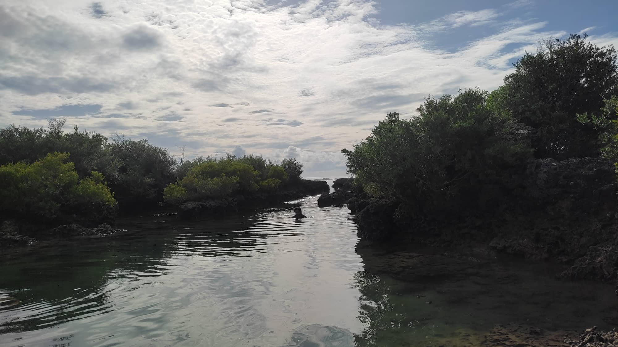 Credits to @bloghound who took this photo