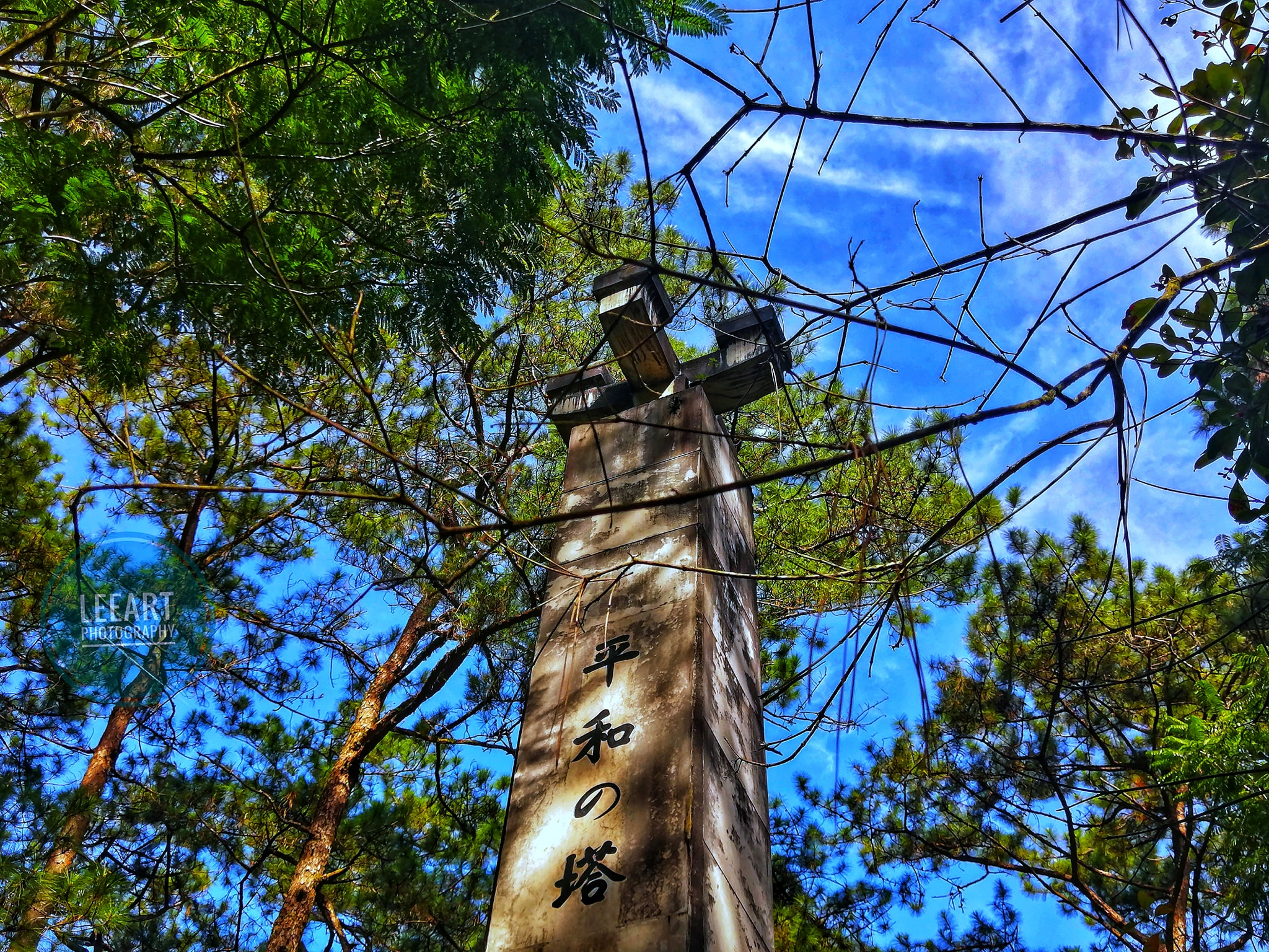 Amazing Nature at Tower of Peace