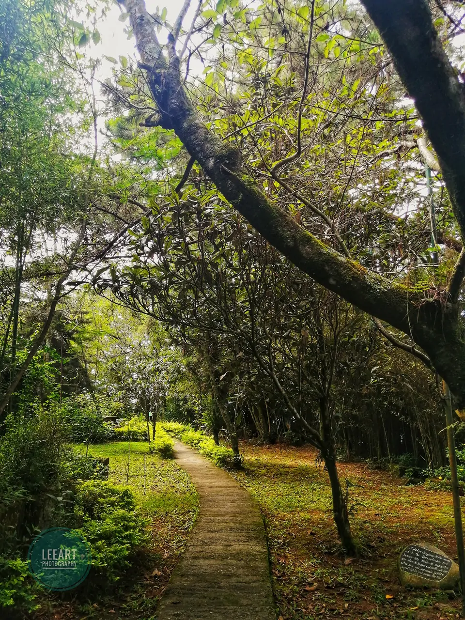 Thursday Throwback at Maryknoll