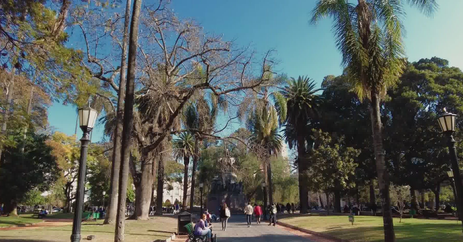 America - Weekly Round-Up #319