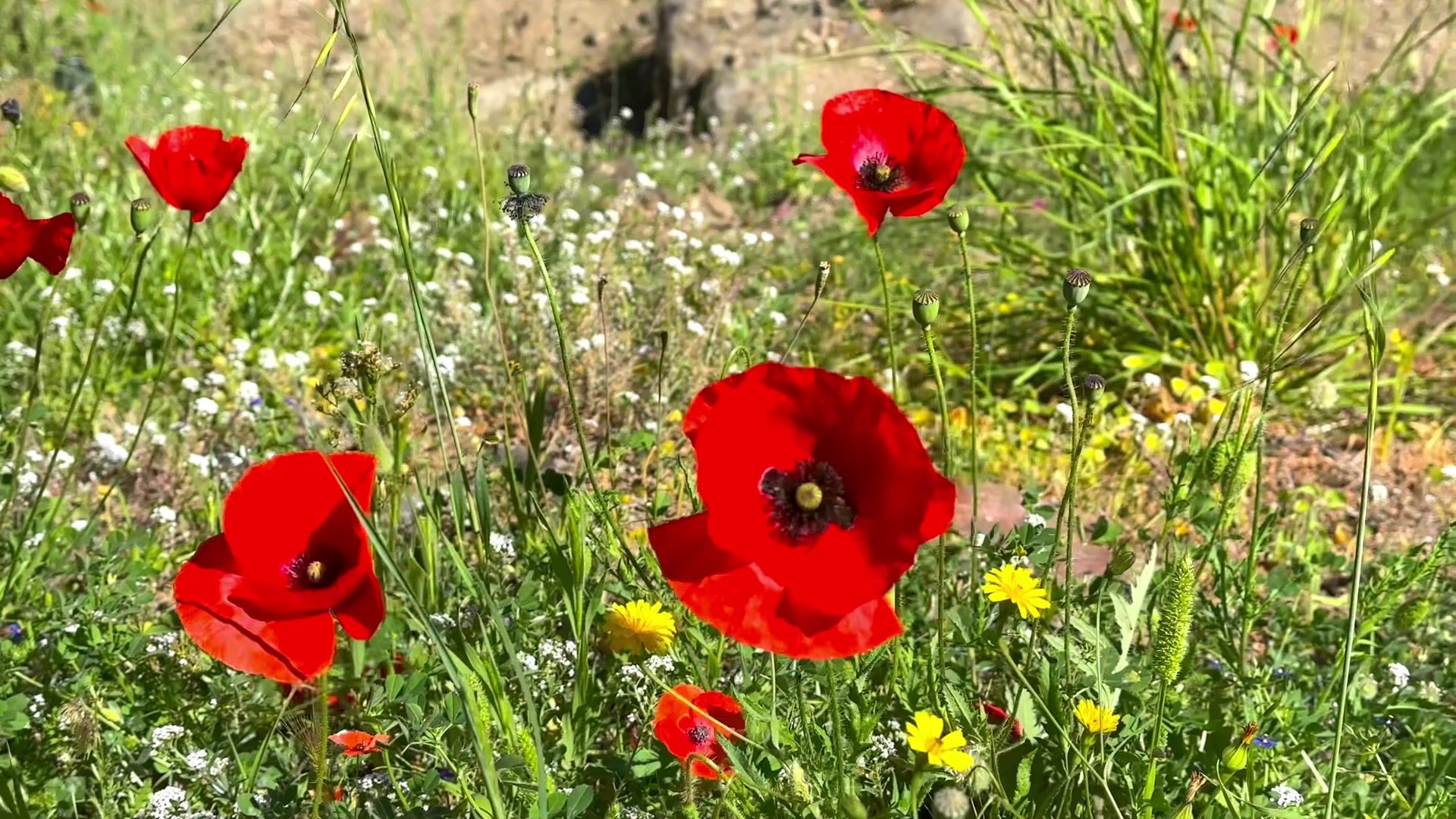 Historical Sohail Castle, Spain