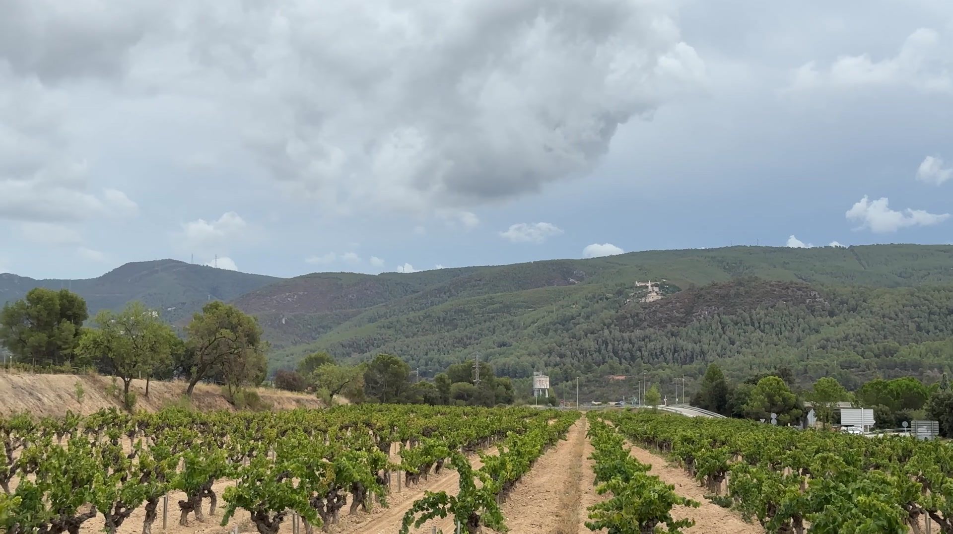 Codorníu Winery, Spain
