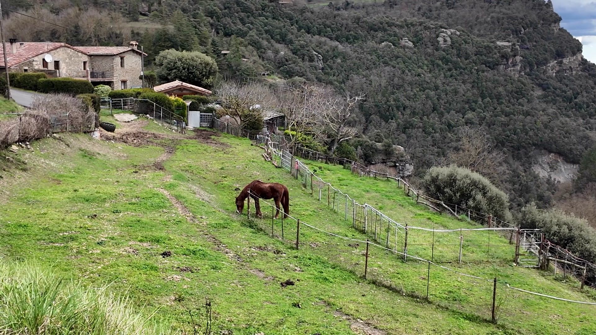 Travel Advice - Weekly Round-Up #381