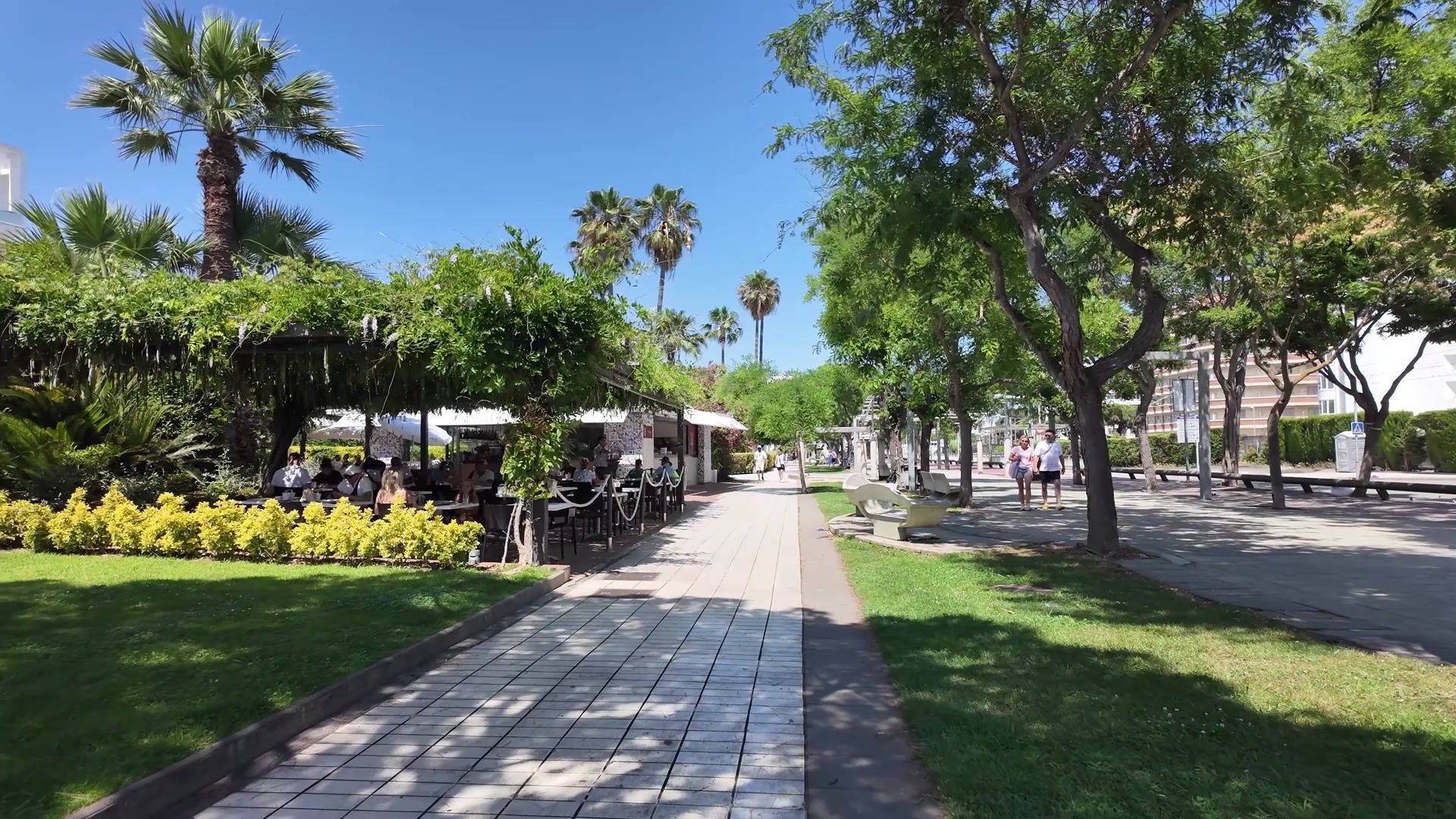 Europe - Weekly Round-Up #384