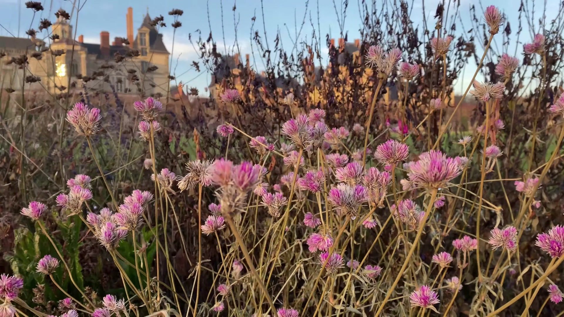 My Journey to Fontainebleau