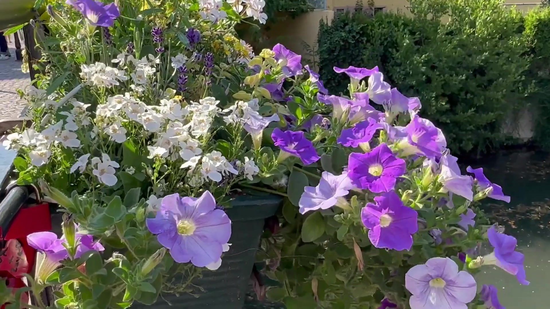 A Weekend in the Fairytale City of Colmar - France