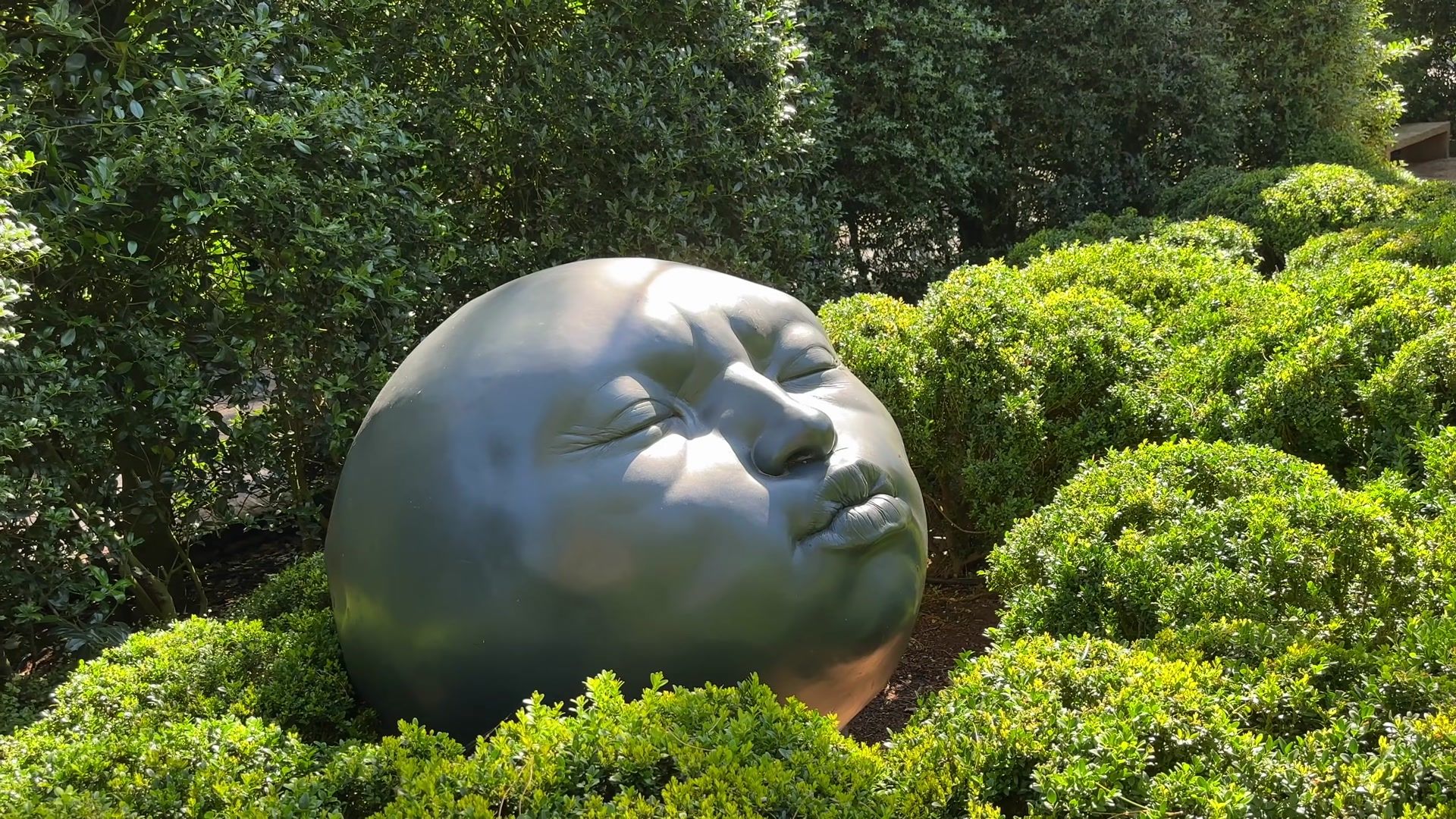 Memories from my Étretat Trip