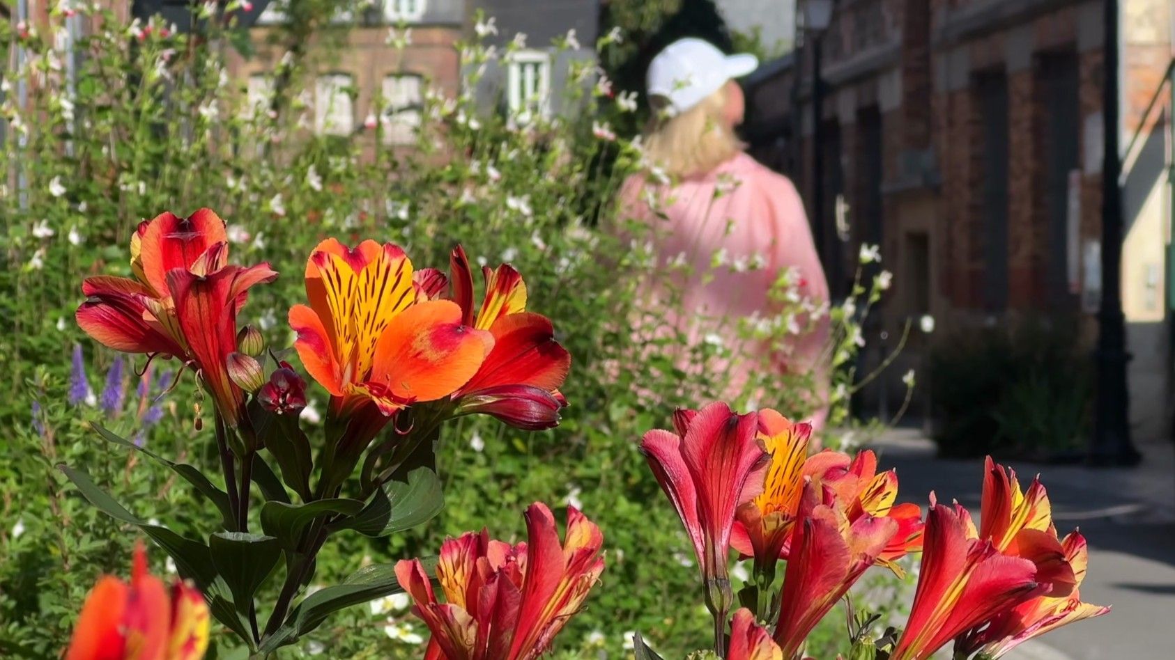 Honfleur - A Medieval Fairytale in Normandy