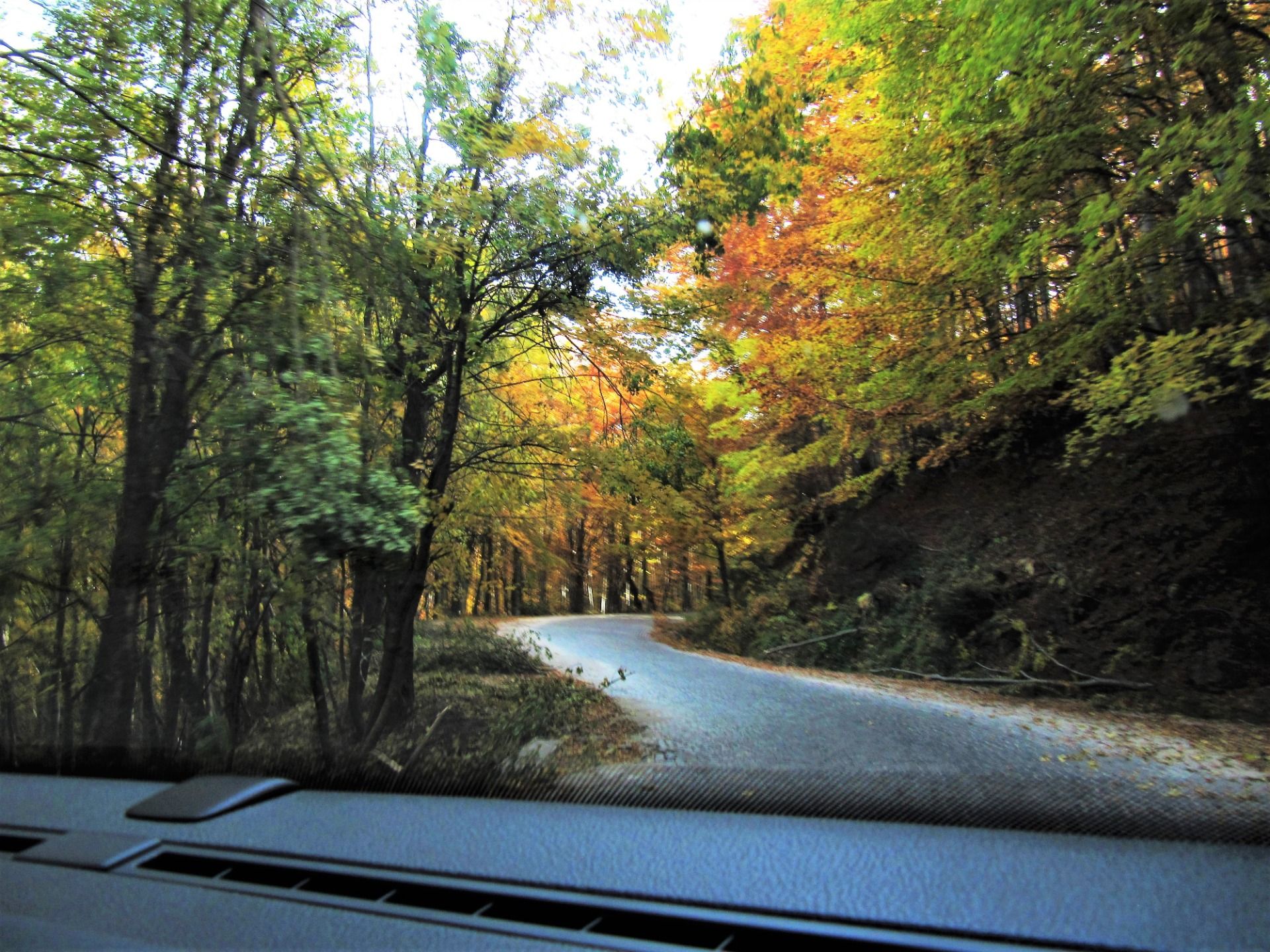 The road to the mountain.